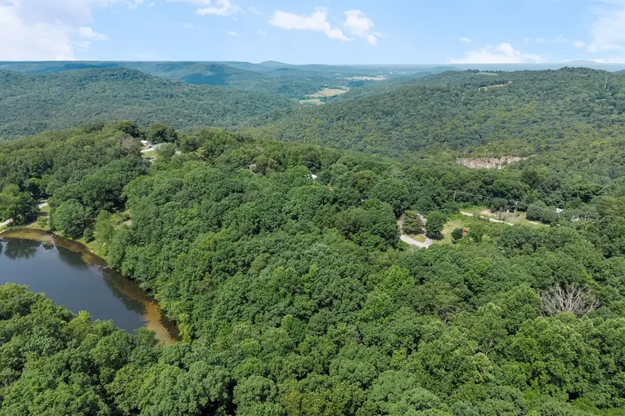 143 Spencer Dr, Spencer, TN 38585 - #3