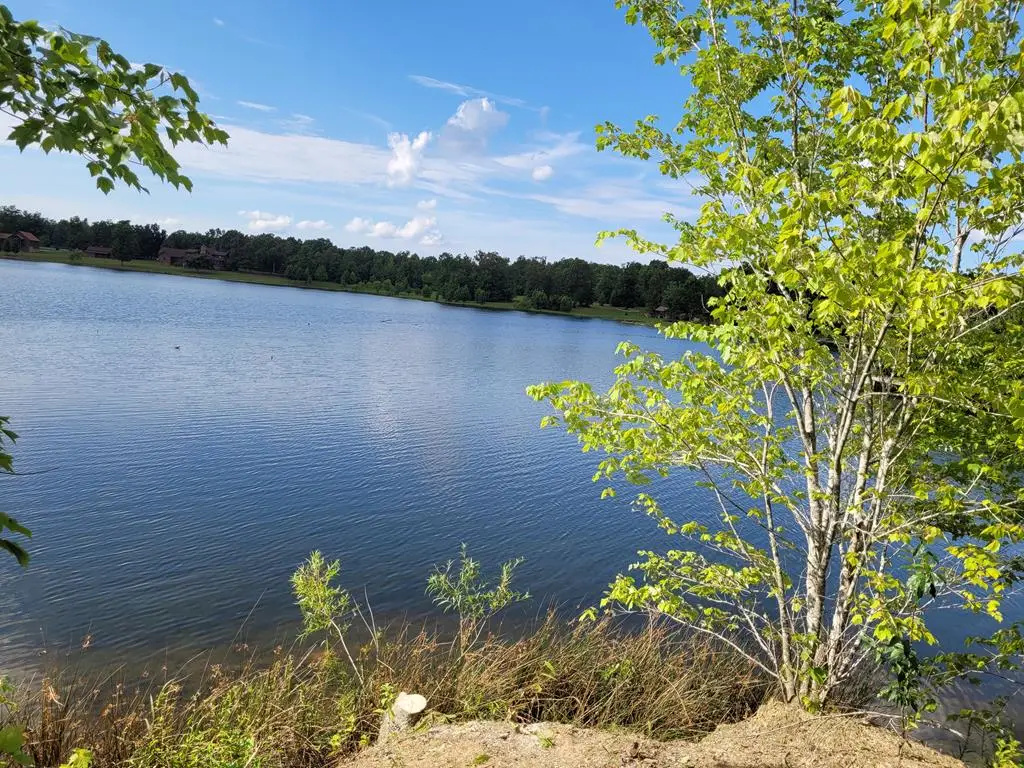 775 Camp Creek Circle, Spencer, TN 38585 - #1