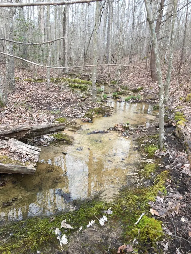 Lot 47 Buckeye Lane, Wilder, TN 38589 - #2