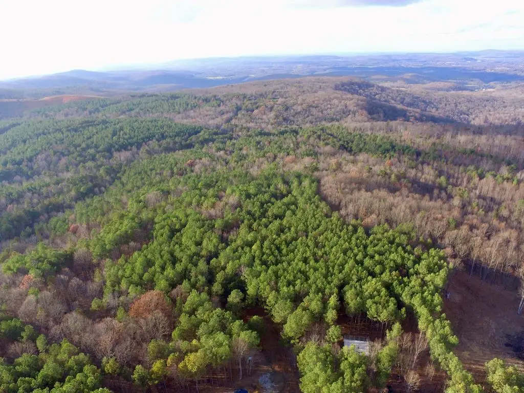 Lot 53 Topside Dr, Spencer, TN 38585 - #1