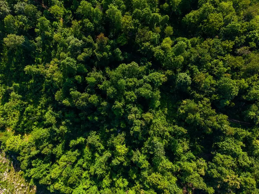 00 82 Ac. Linder Mountain Rd., Livingston, TN 38570 - #3