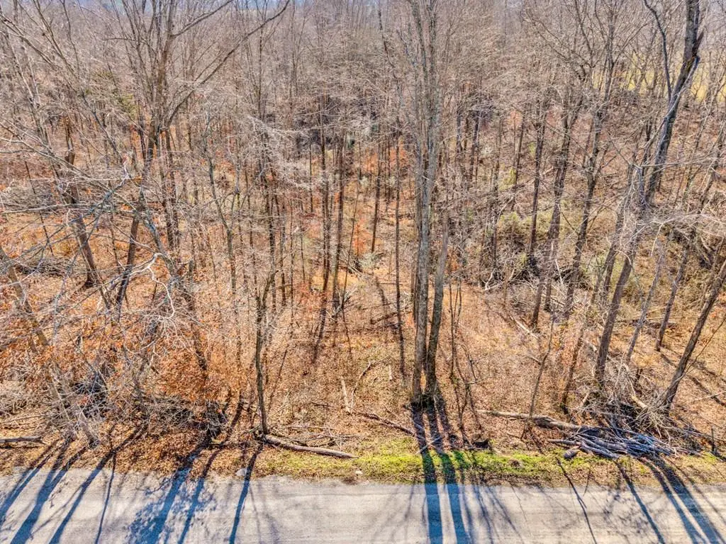 0 James Reeder Ln, Allons, TN 38541 - #1