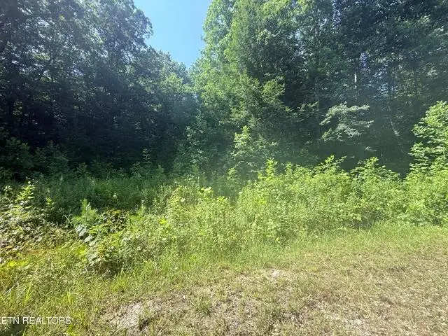760 Dubose Dr, Jamestown, TN 38556 - #1