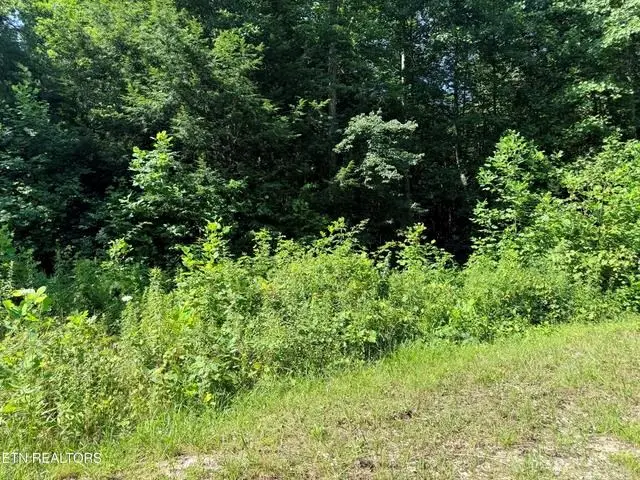760 Dubose Dr, Jamestown, TN 38556 - #3