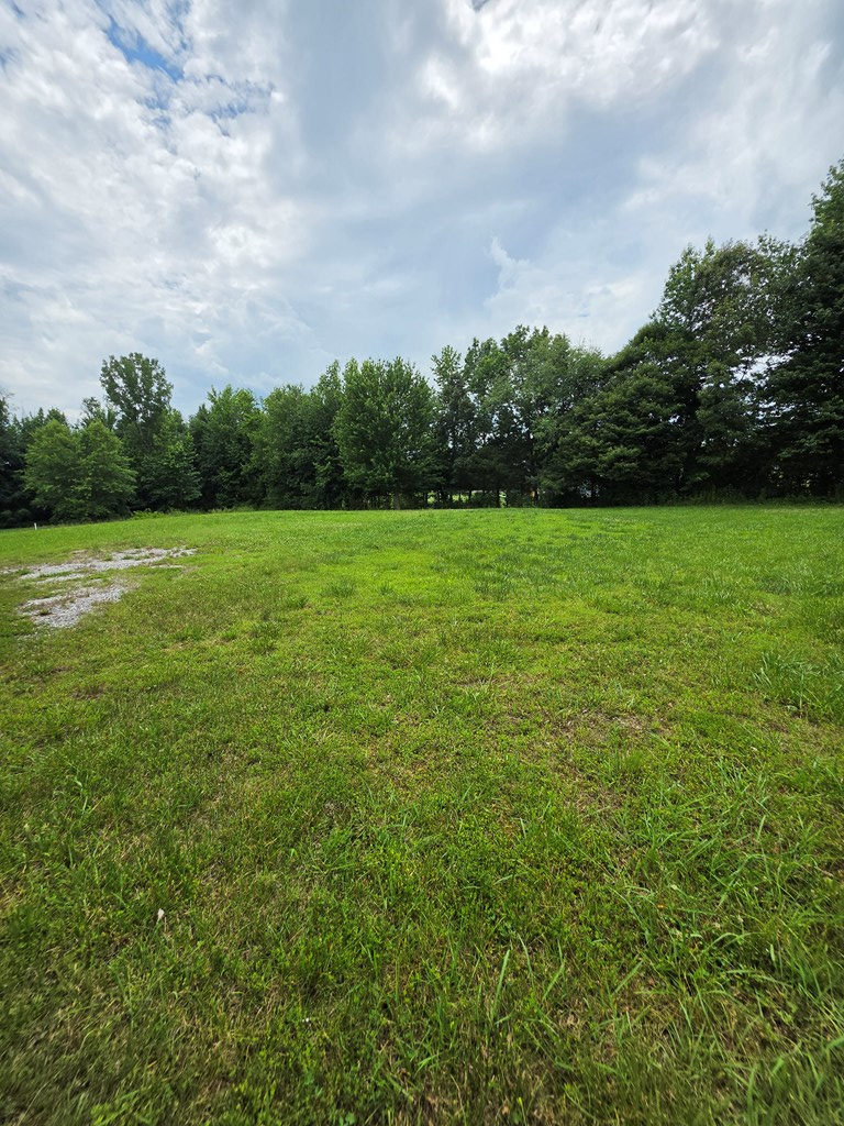 5530 Raven Crossing, Baxter, TN 38544 - #3