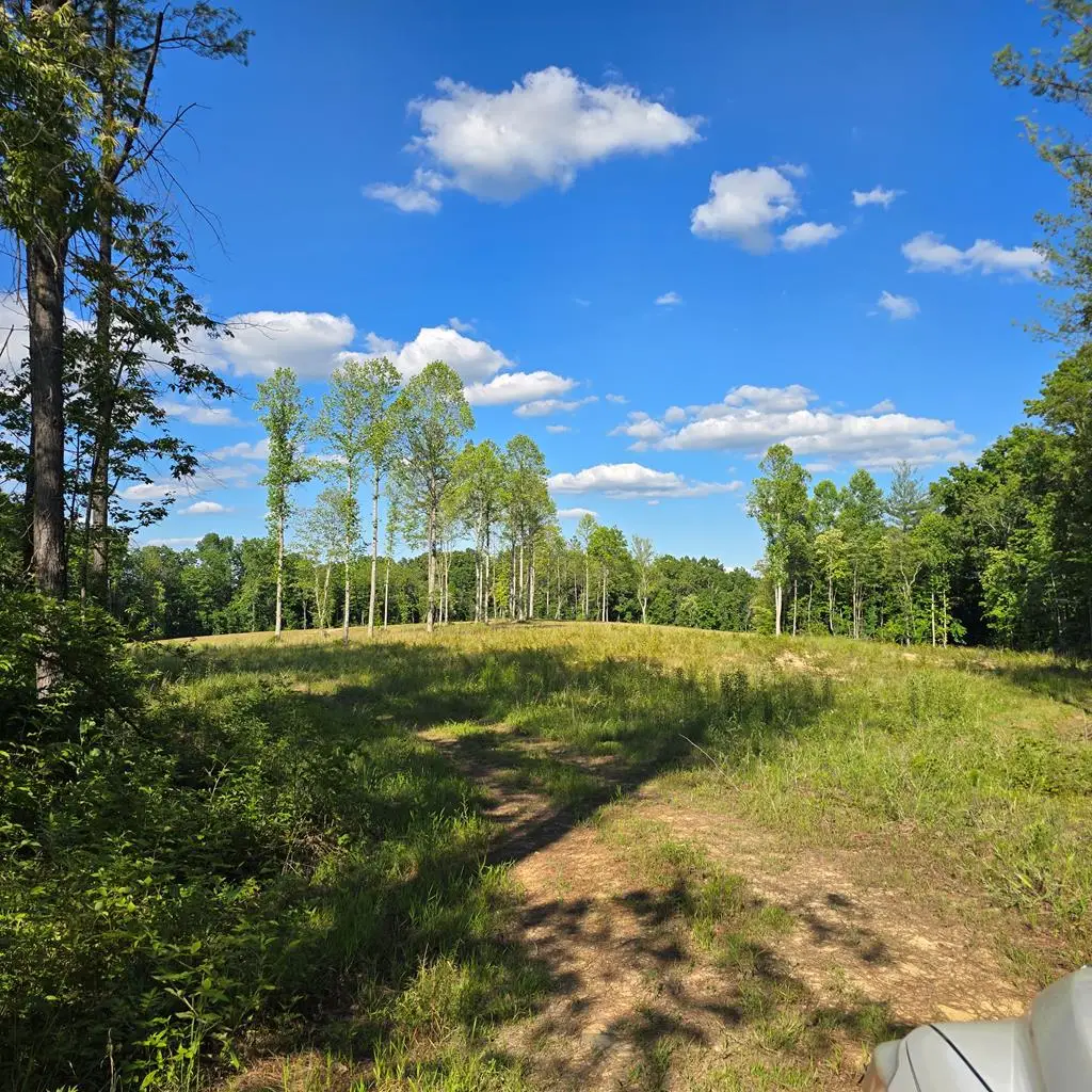 50+/- AC Red Hill Road, Sunbright, TN 37872 - #1