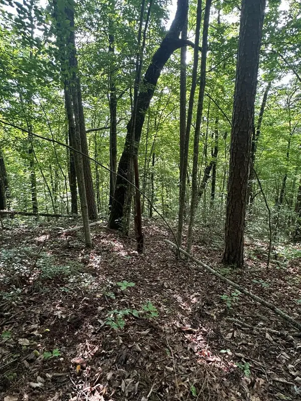 LOT 371 East Obey Lane, WILDER, TN 38589