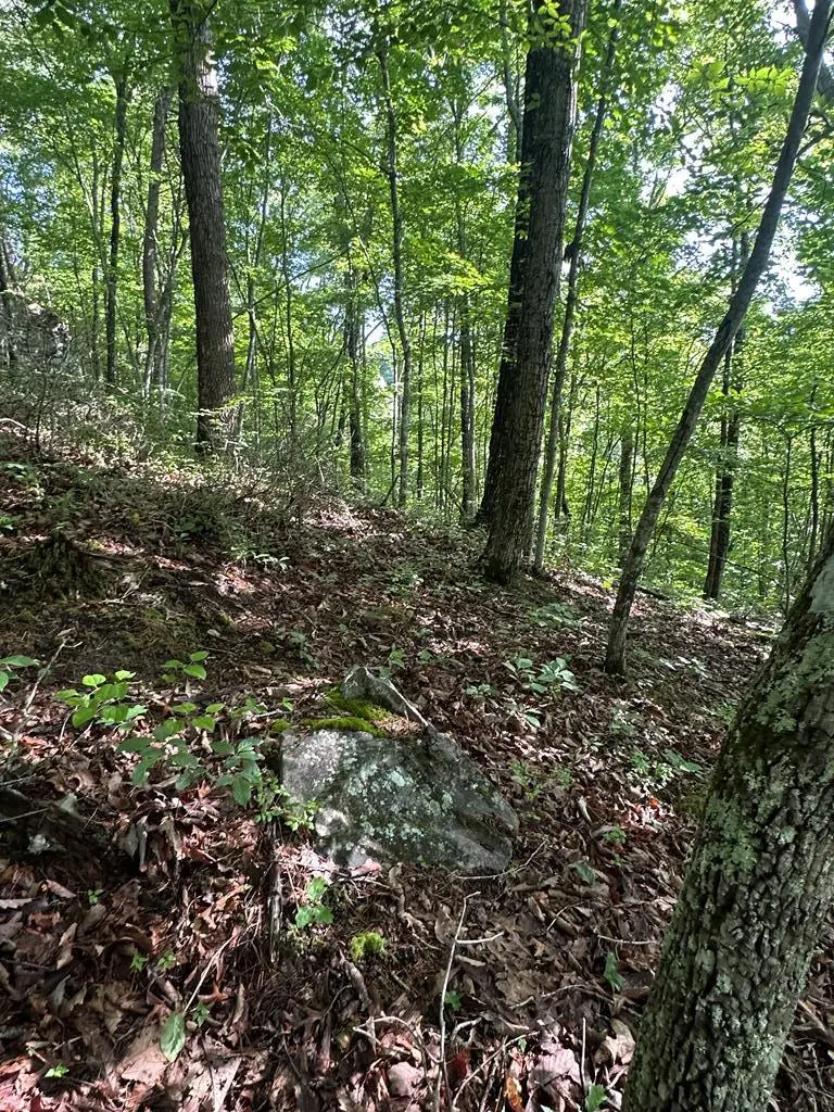 LOT 371 East Obey Lane, Wilder, TN 38589 - #2