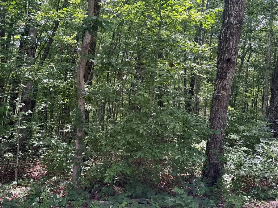 5 Ac Wilder Hwy, Crawford, TN 38554 - #2