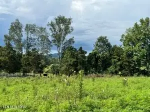 TBD Collier Ln, Rock Island, TN 38581 - #2