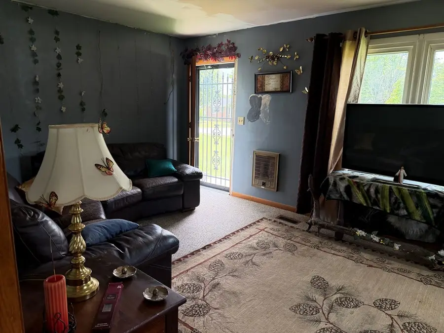 835 Anthony Avenue, Smithville, TN 37166 - #3