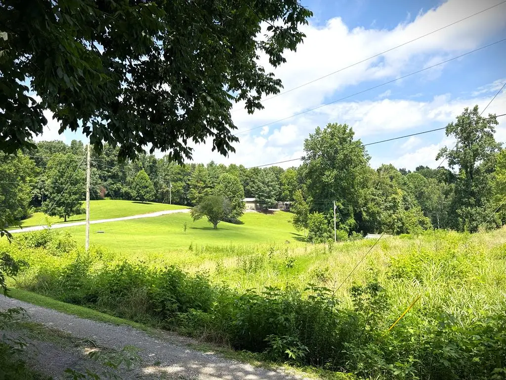 00 Joe Stone Rd, Celina, TN 38551 - #1