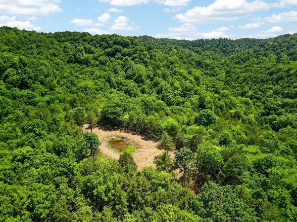 2926 Bryant Ridge Rd, Baxter, TN 38544