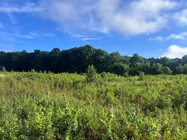 1162 Taylors Chapel Rd, CROSSVILLE, TN 38572