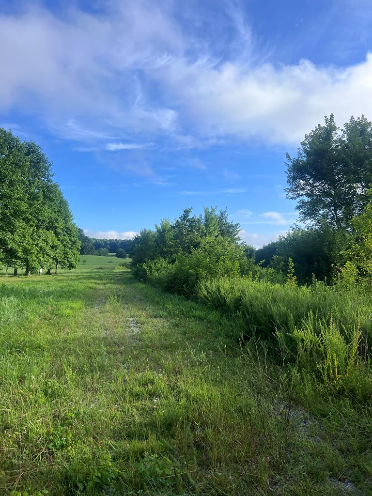 1162 Taylors Chapel Rd, Crossville, TN 38572 - #2