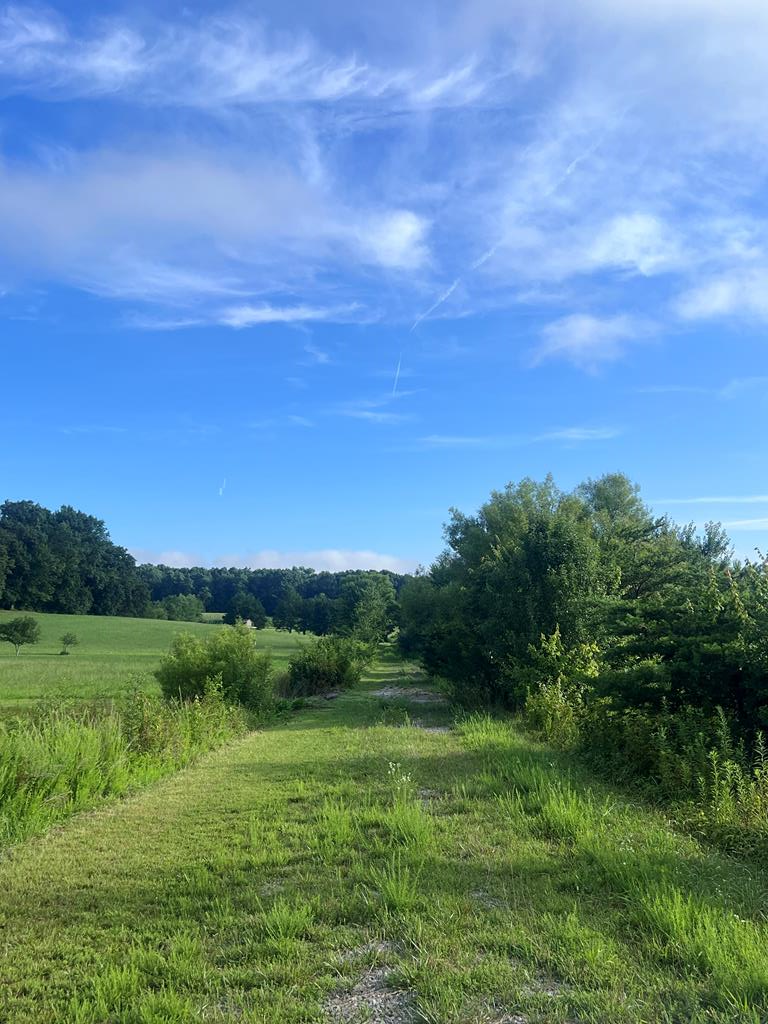 1162 Taylors Chapel Rd, Crossville, TN 38572 - #3