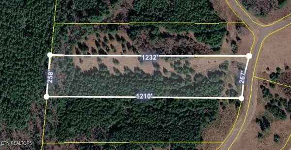 0 White Creek Dr, Deer Lodge, TN 37726