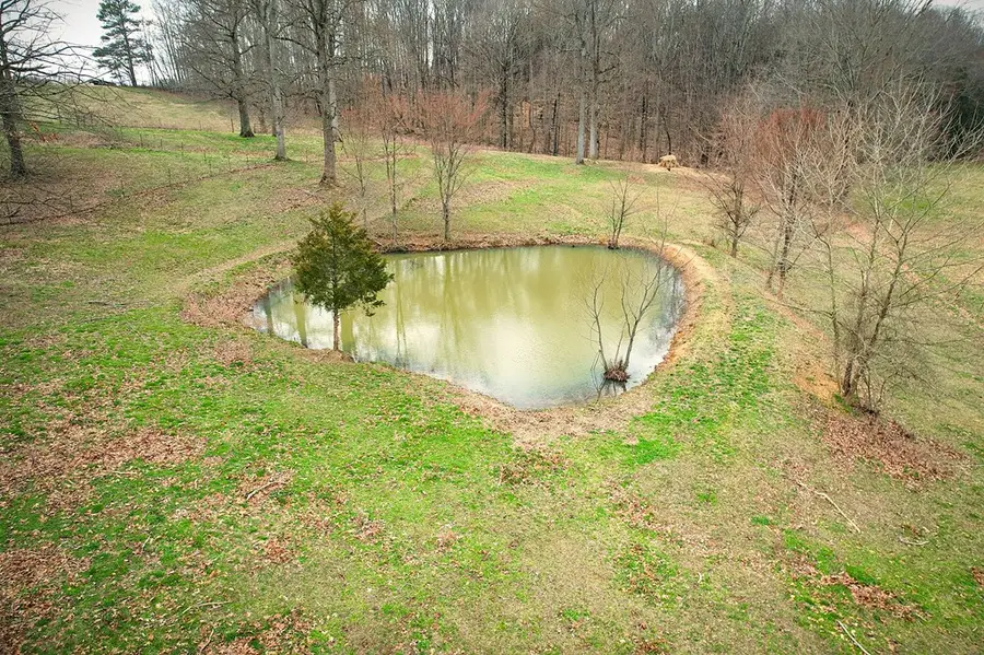 1152 Dogwalk Rd, Monroe, TN 38573 - #3