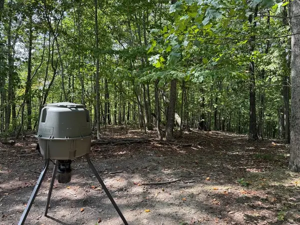 18.19 Ac Spence Ln, Hilham, TN 38568