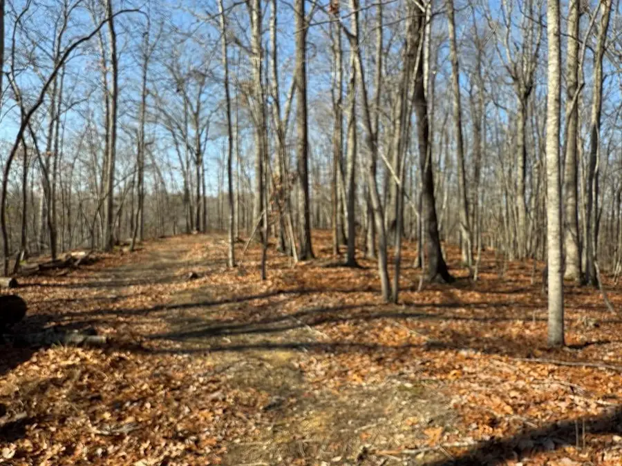 18.19 Ac Spence Ln, Hilham, TN 38568 - #2