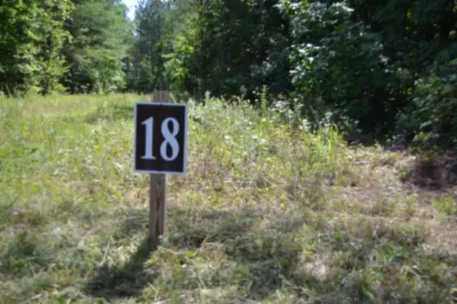 318 Rhodas Way Rd, Sunbright, TN 37872 - #1