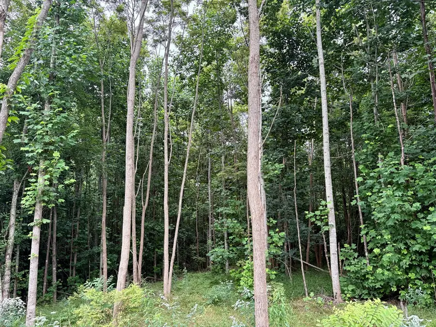 292 Overlook Dr, Spencer, TN 38585 - #3