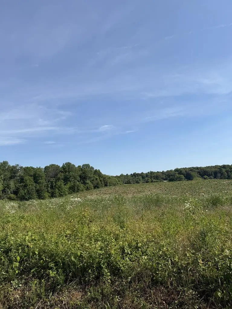 12A Petty Rd, Sparta, TN 38583 - #1
