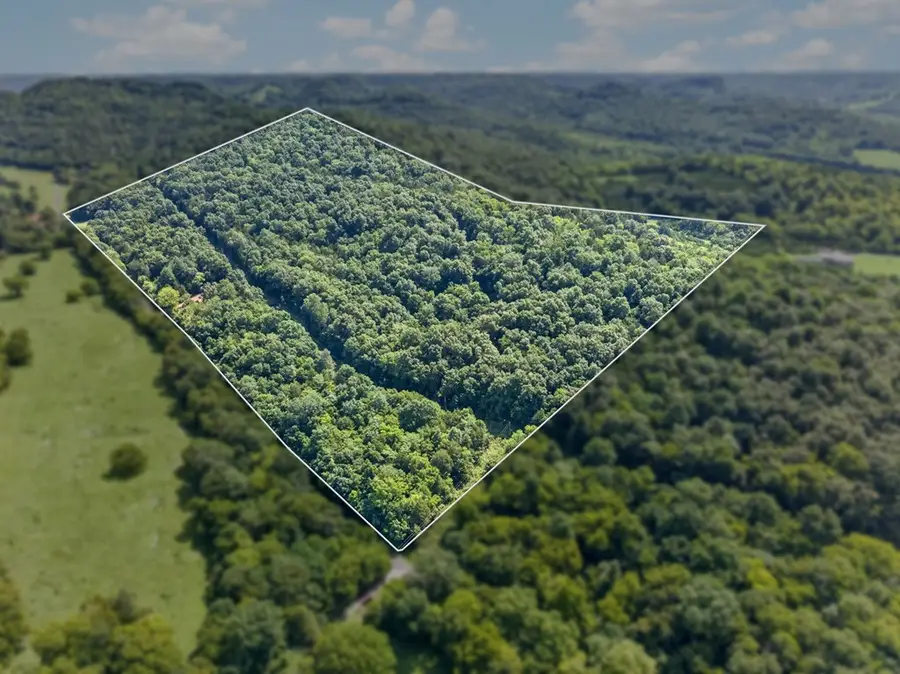 384 Huff Hollow, Granville, TN 38564 - #2