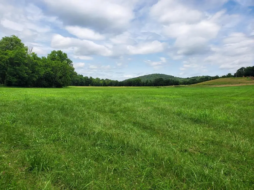 0 Plunkett Creek Rd Lot 4, Gordonsville, TN 38563 - #1