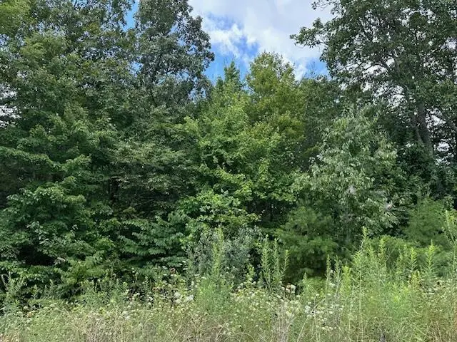 Lot 89 Bobcat Lane, Wilder, TN 38589 - #2