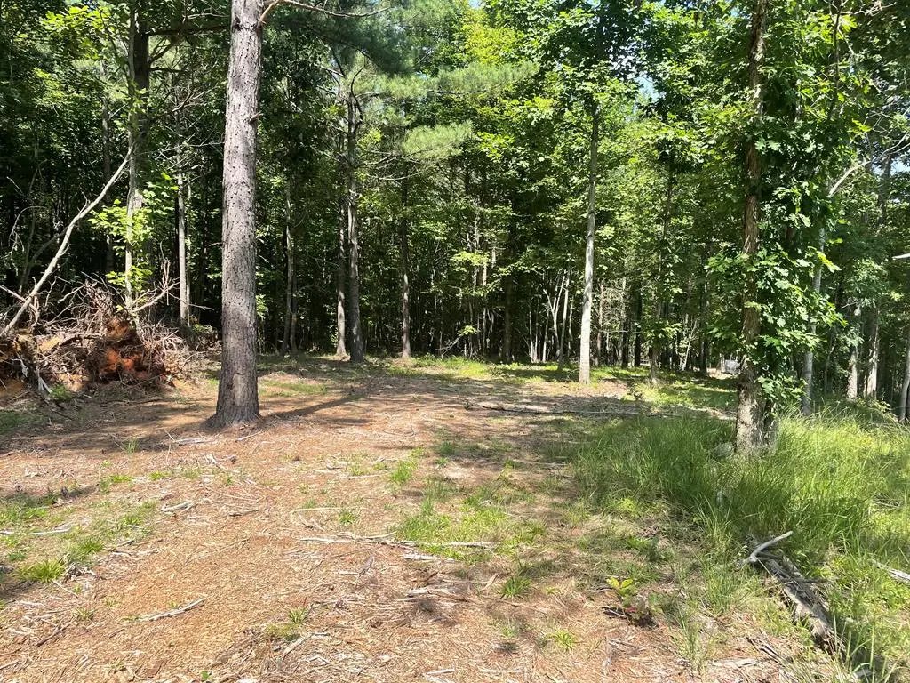 Lot 8 Tall Woods Ln, Spencer, TN 38585 - #1