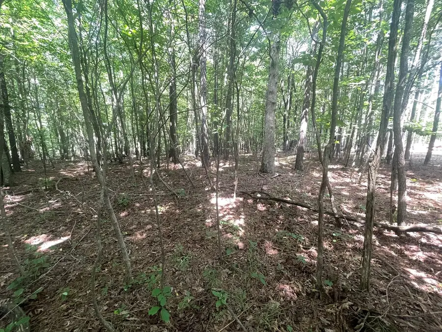 Lot 8 Tall Woods Ln, Spencer, TN 38585 - #3