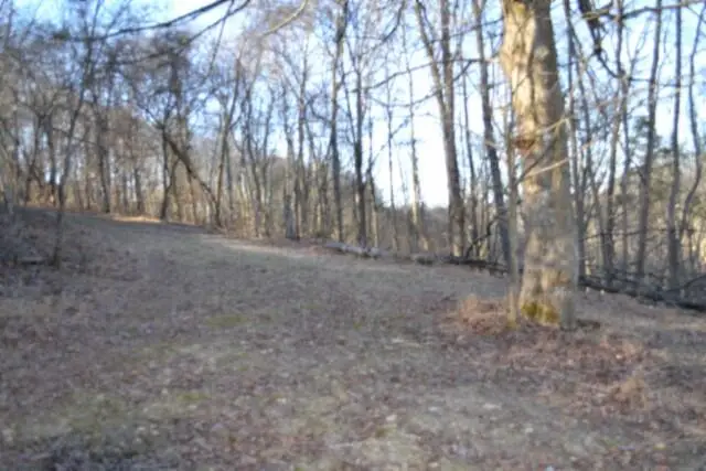 5.52ac Cabin Hill Rd, Celina, TN 38551 - #3