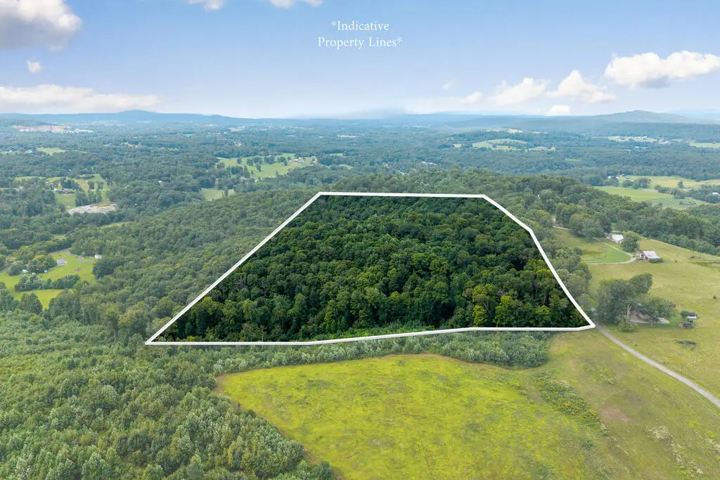 1033 Bald Knob Mountain Cummings Cove Rd, Doyle, TN 38559 - #1