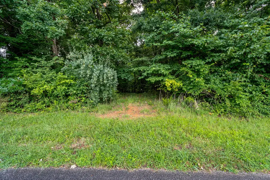 1033 Bald Knob Mountain Cummings Cove Rd, Doyle, TN 38559 - #2