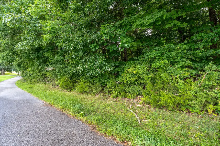 1033 Bald Knob Mountain Cummings Cove Rd, Doyle, TN 38559 - #3