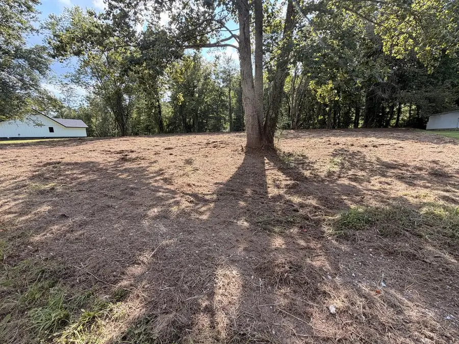 00 Clark Ln, Celina, TN 38551 - #3