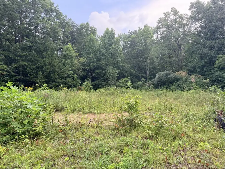 00 Doe Creek Loop, Sparta, TN 38583 - #2