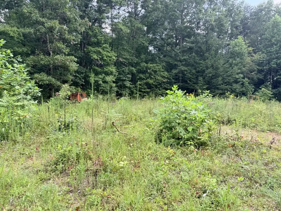 00 Doe Creek Loop, Sparta, TN 38583 - #3