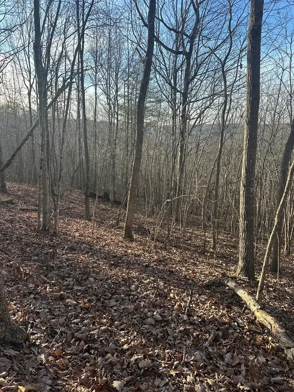 Lot 278 Purple Iris, WILDER, TN 38589