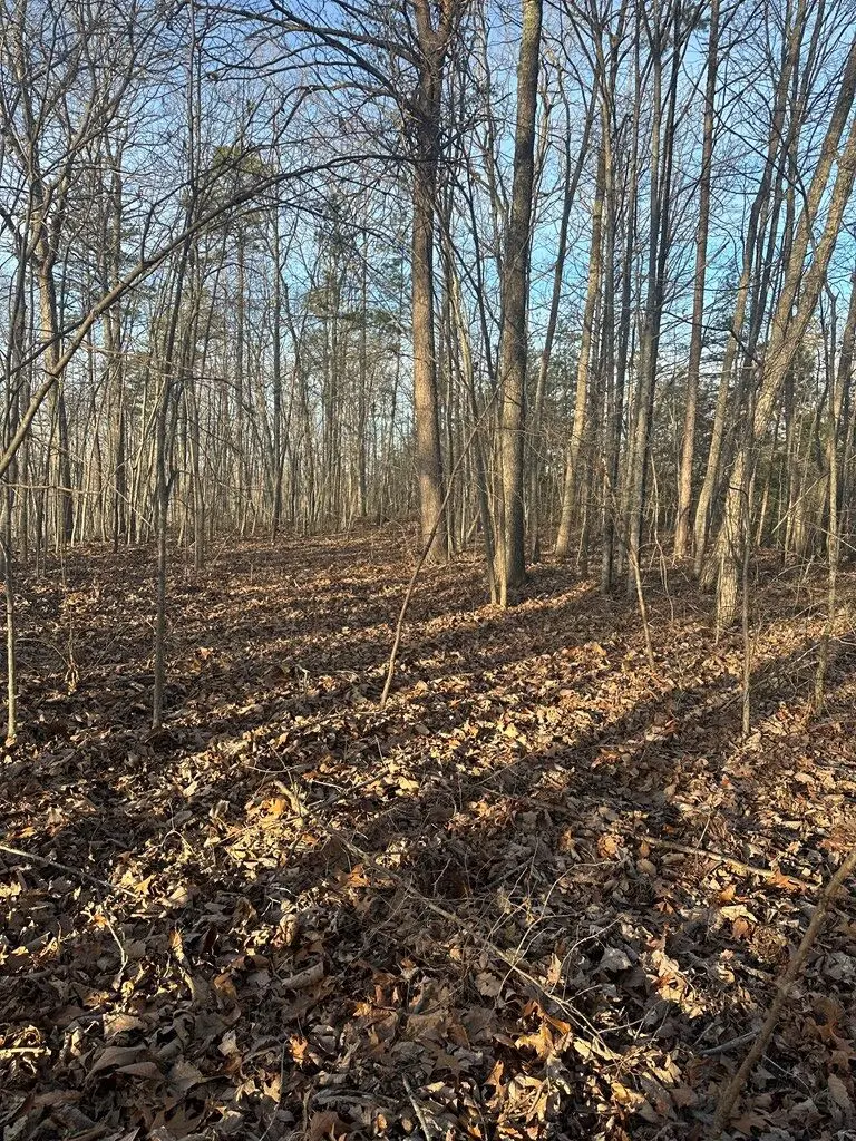 Lot 278 Purple Iris, Wilder, TN 38589 - #2