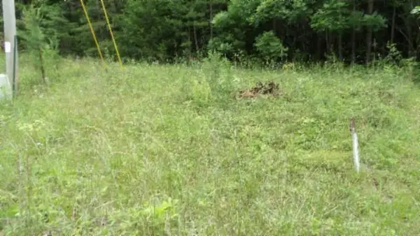 Lot 48 Parkstown Ext. Rd, WILDER, TN 38589
