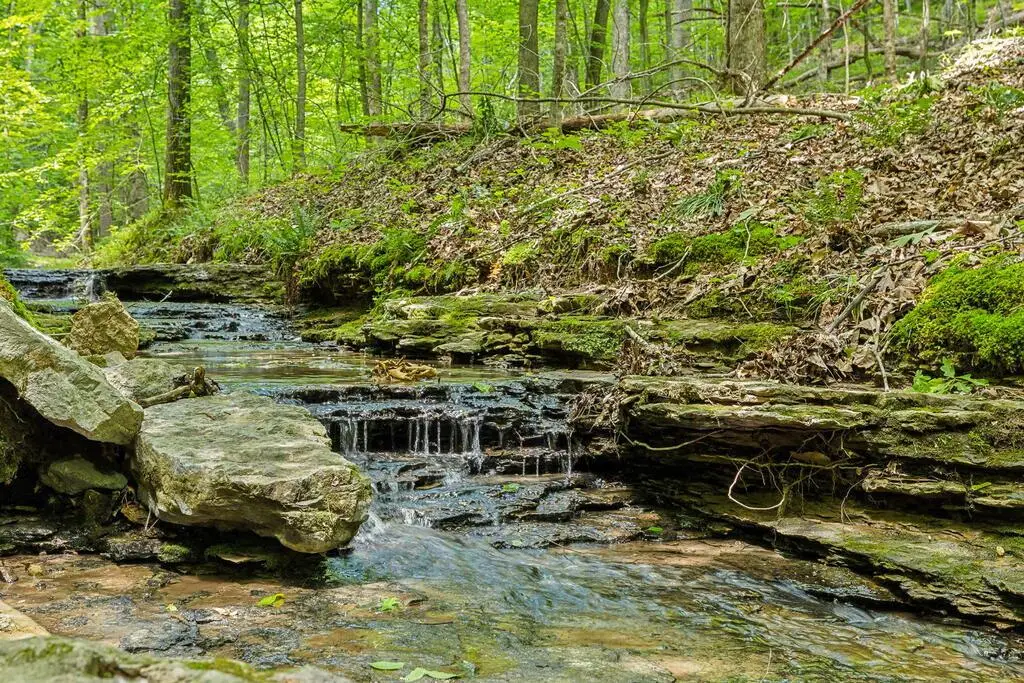 0 Crocker Springs Rd, Goodlettsville, TN 37072 - #1