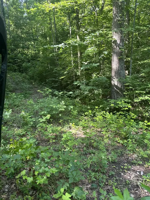 Lot 419 Grabber Lane, WILDER, TN 38589