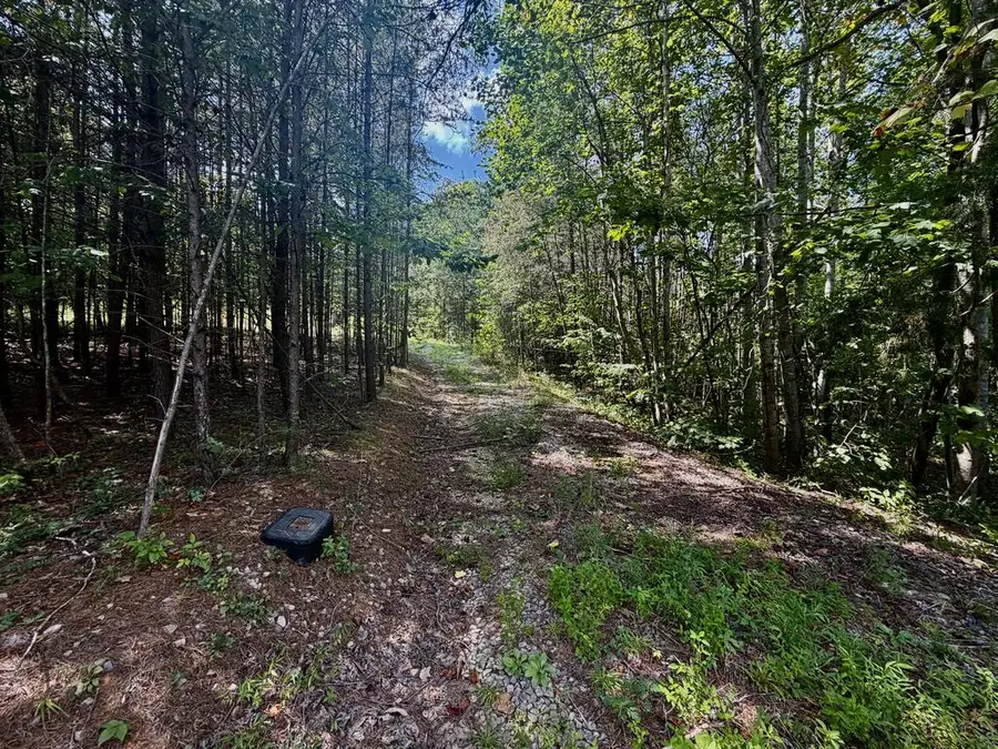 1071 Big Hollow Rd, Monroe, TN 38573 - #2