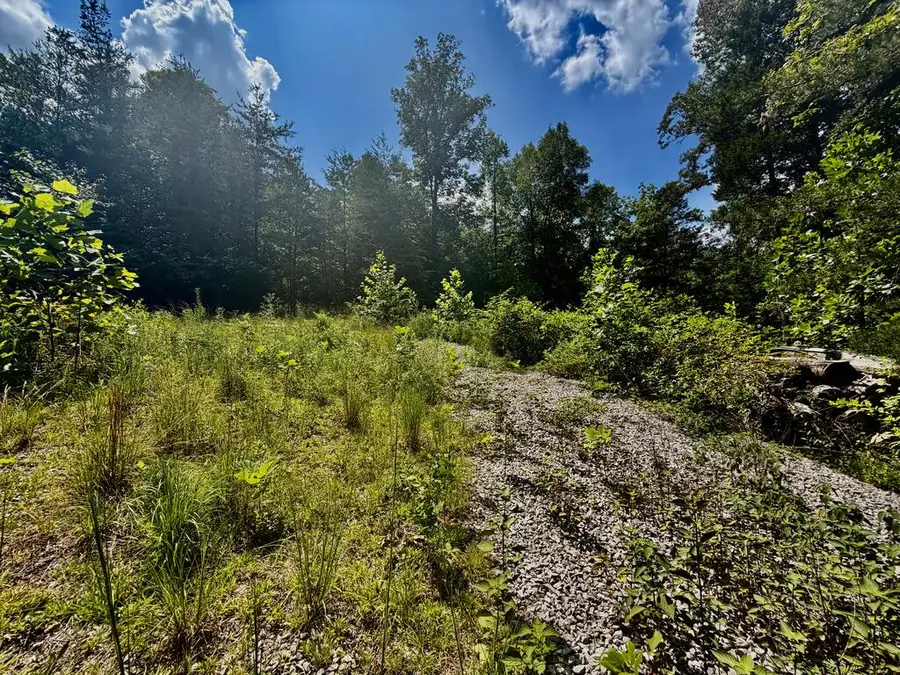 1071 Big Hollow Rd, Monroe, TN 38573 - #3