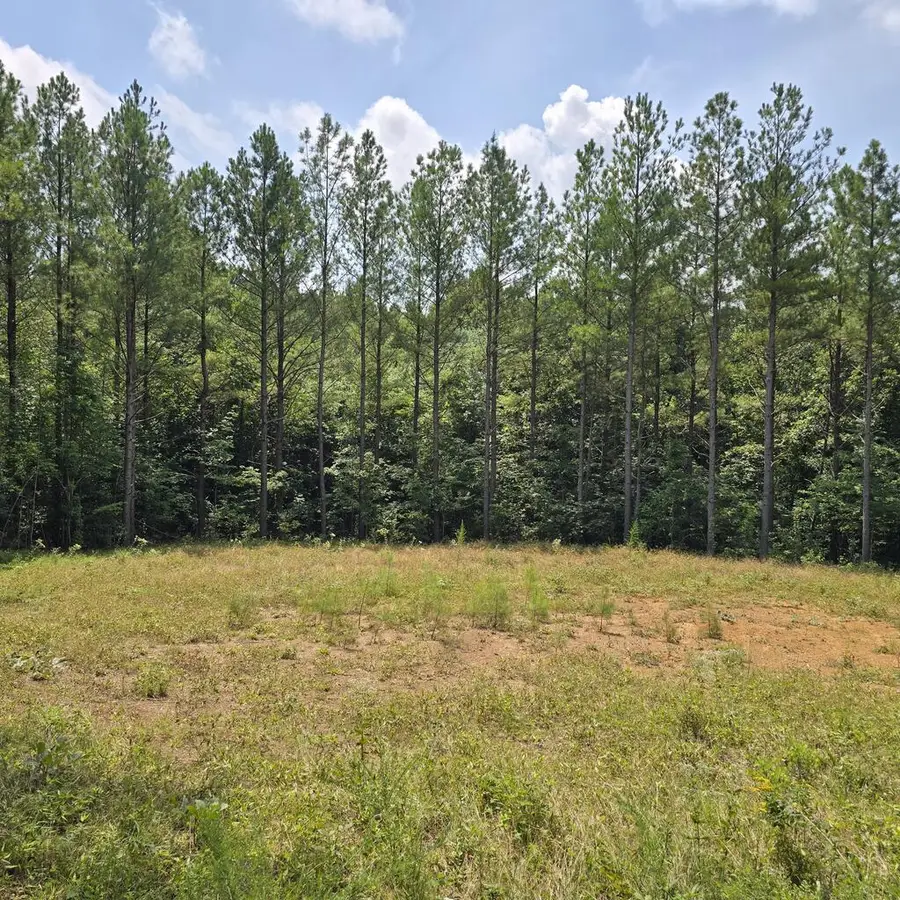 T23 L3 Sheep Ranch Road, Robbins, TN 377852 - #3