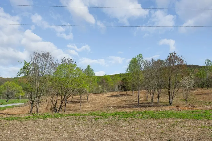 00 Big Springs Farm - Lot 11, 0.66 Acres, Monroe, TN 38573 - #3