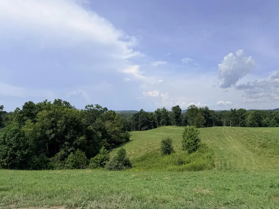 Tract 2 Cherrytree Ln, Monroe, TN 38573 - #3