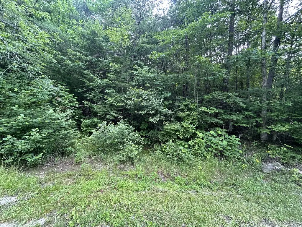 n/a Wilder Hwy, Jamestown, TN 38556 - #1